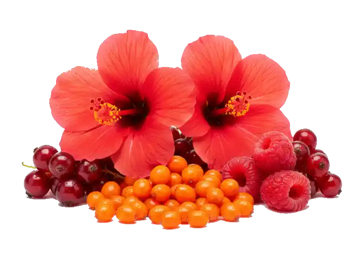 Sanddorn bzw. versch. Beeren und Blüten